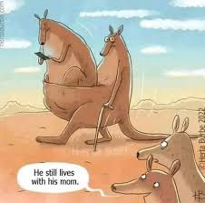 joke 2026 Feb
