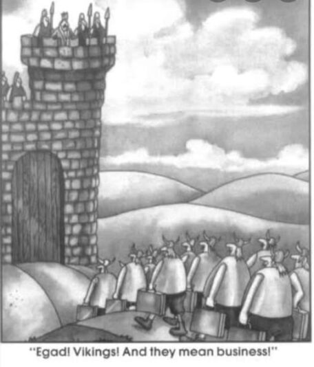 viking business