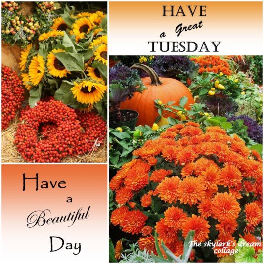 Have a great Tuesday Fall collage
