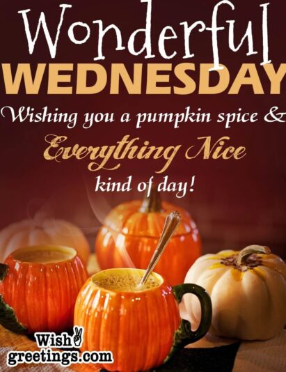 Wonderful Wednesday