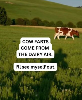 cowfarts