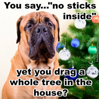 342392-Christmas-Dog-Funny-Quote-2755566044