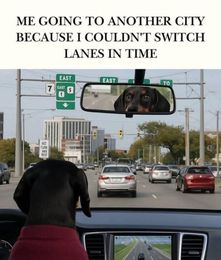 traffic