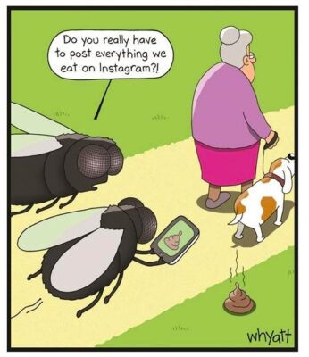 joke 2026 feb fly