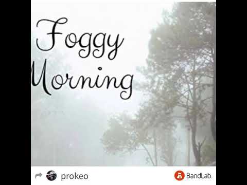 Foggy Morning