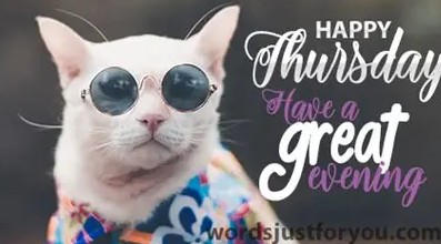 Happy Thursday 1