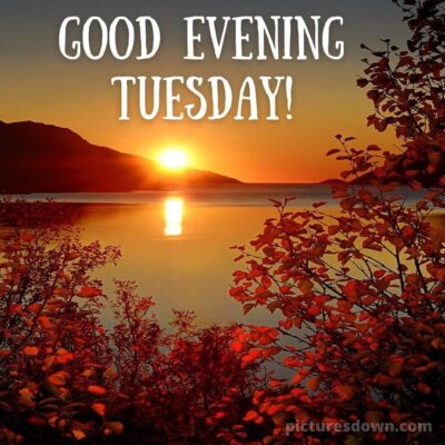 good Evening Tuesday