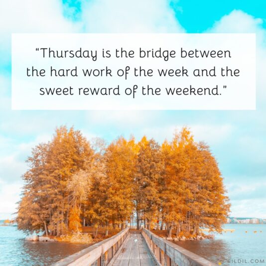 thursday sweet reqard