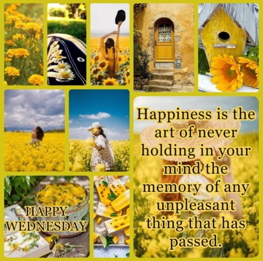 Happy Wednesday collage 2