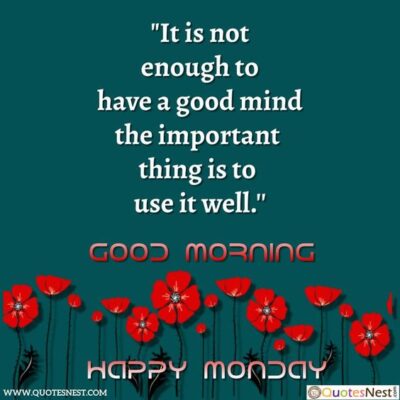 monday use mind well