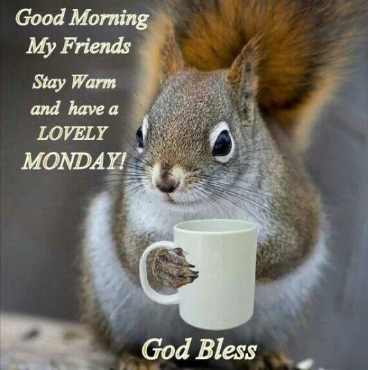 Good Morning Monday Frriends stay warm