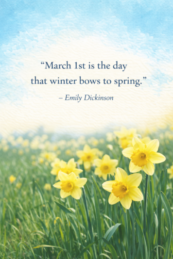 Springtime daffodils with Emily Dickinson quote
