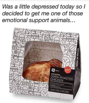 support food