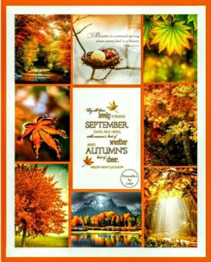 Good Morning Autumn collage