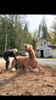caption group horse and woman