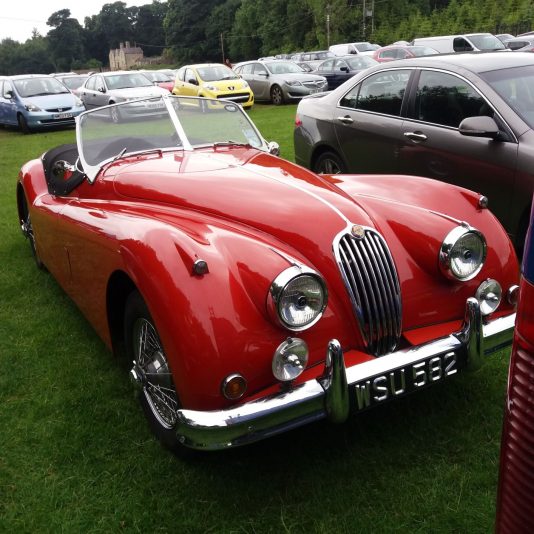 CLASSIC JAGUAR resized