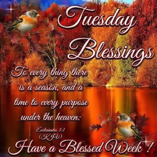 Tuesday Blessings Fall