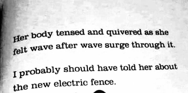 fence