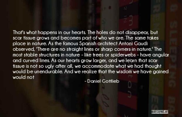 straight-lines-in-nature-quote-by-daniel-gottlieb-775379
