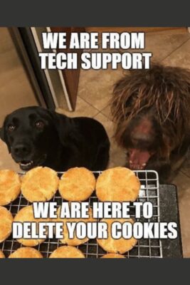 fun group delete cookies