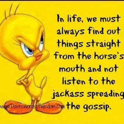 horses mouth not jackass