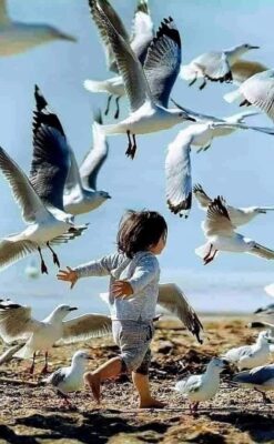 caption group boy and birds