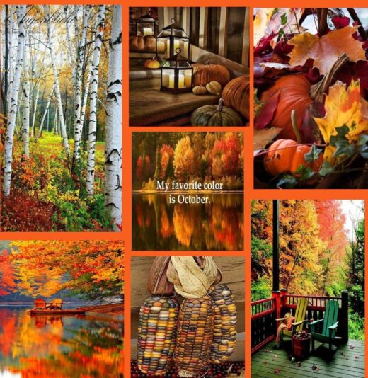 October collage 2