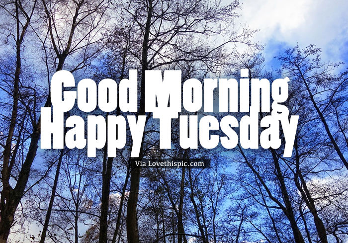 Happy Tuesday