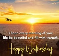 Happy Wednesday 1