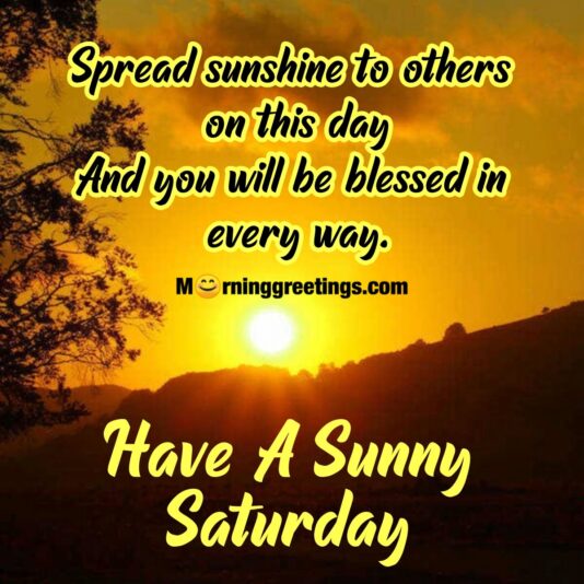 Have-A-Sunny-Saturday