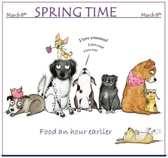 spring time starts 4 (2)