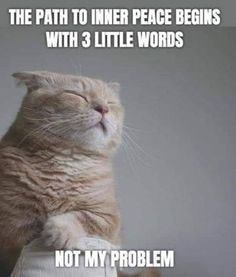 not my problem