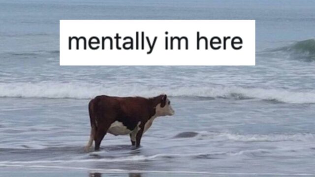 i am here