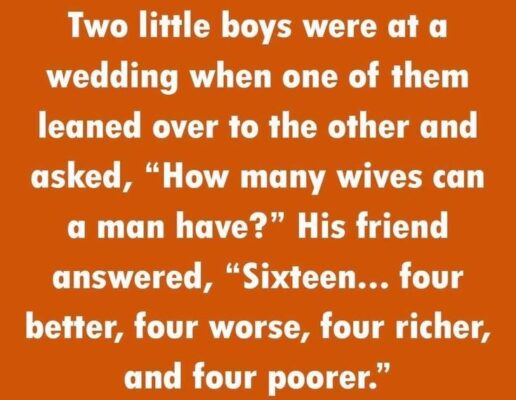 fun group how many wives