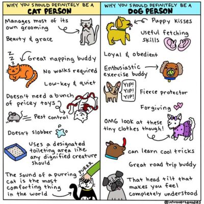 cat versus dog