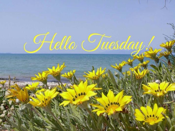 Happy Tuesday Beach