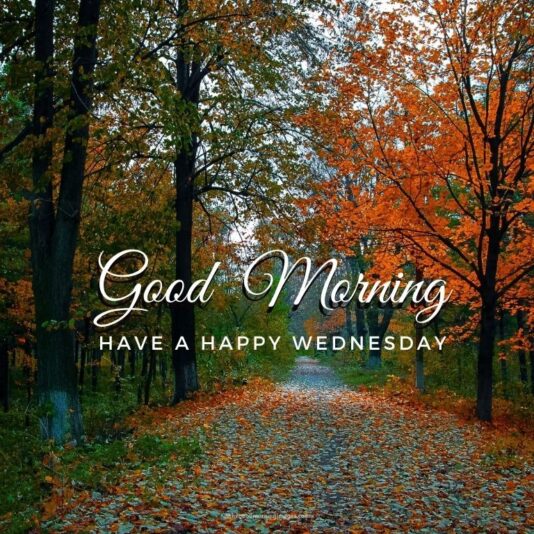 Have a happy Wednesday