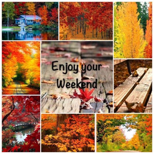 Enjoy you weekend fall