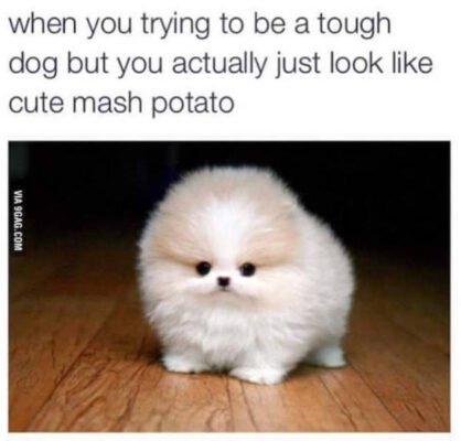 mash potato