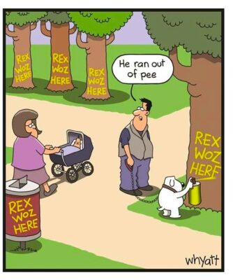 joke 2026 feb dogs 1