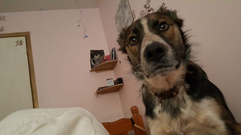 IMG-20191114-WA0002