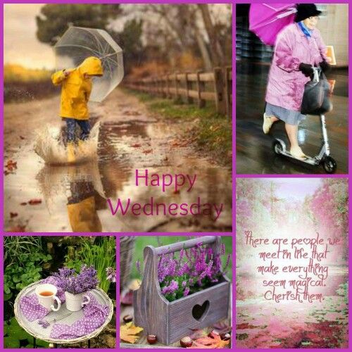 Happy Rainy Wednesday collage
