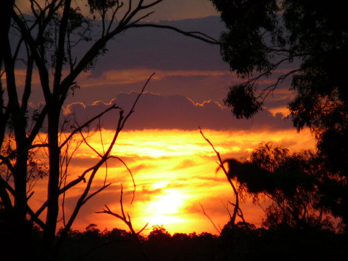 Lilydale_Sun.jpg