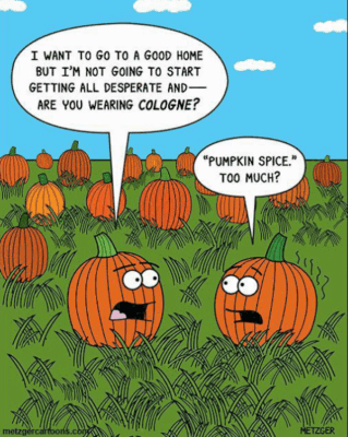 Fall-Meme-53-923975690