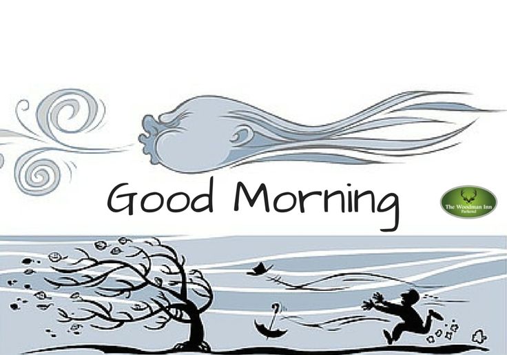 Windy Morning