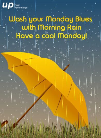 Rainy Monday