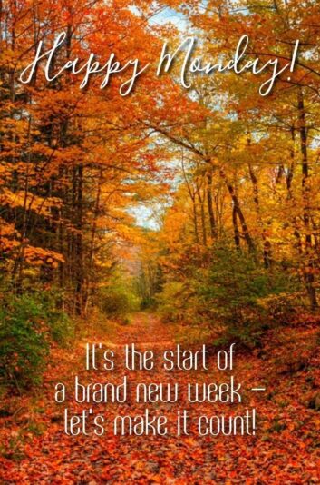 Happy Monday fall