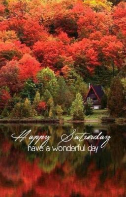 Happy Saturday