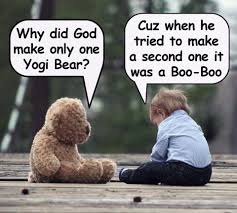 yogi