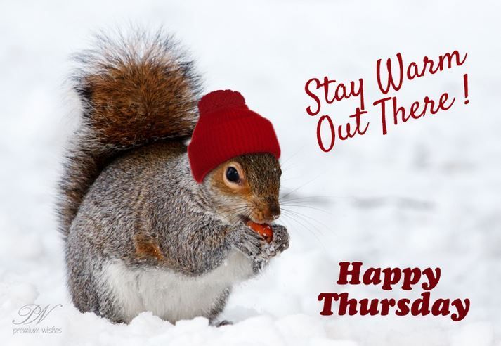 Happy Thursday Stay Warm